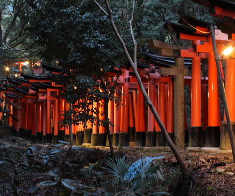 All the way up the mountain as things start to get dark.