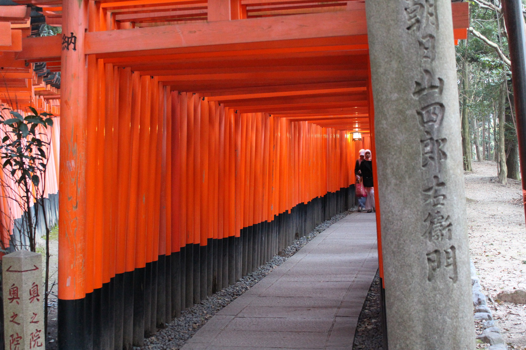 A look down the right path when the torii split.