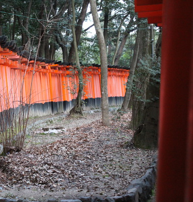 A look through the middle of the split torii.