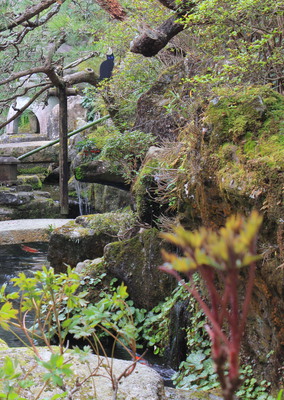 A small garden alongside a restaurant.
