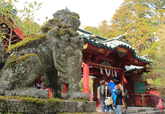 Moss covered guardian.