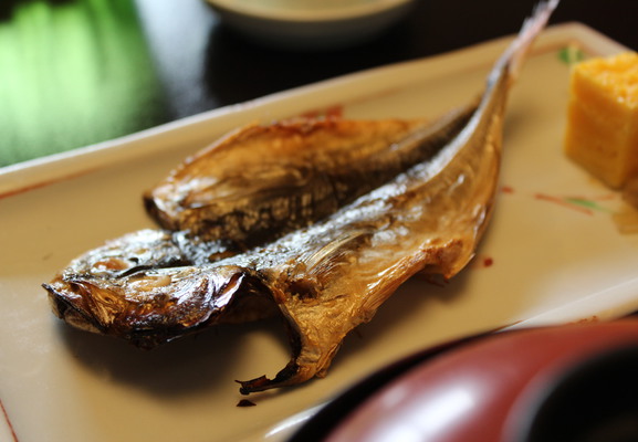 All that was left of this fish was bones.