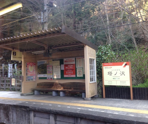 A tiny mountain train stop.