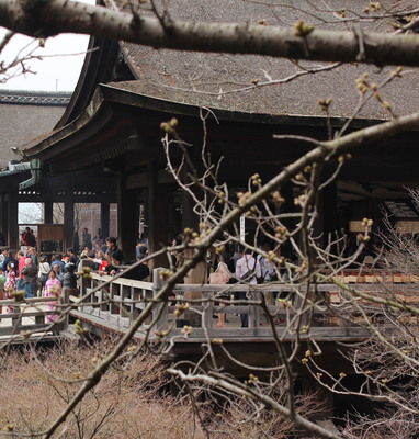 Hundreds of feet up, the temple looks like it sits on the trees.