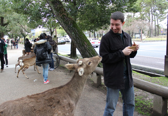 Adam feeding the deer.