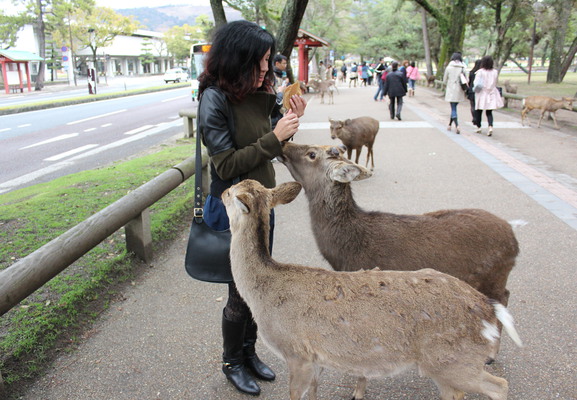 Marilyn feeding the deer.