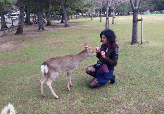 Marilyn feeding one of the smallest deer. It was tough to not be overwhelmed by the other deer during the taking of this photo.