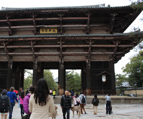 The opening gate to the temple.