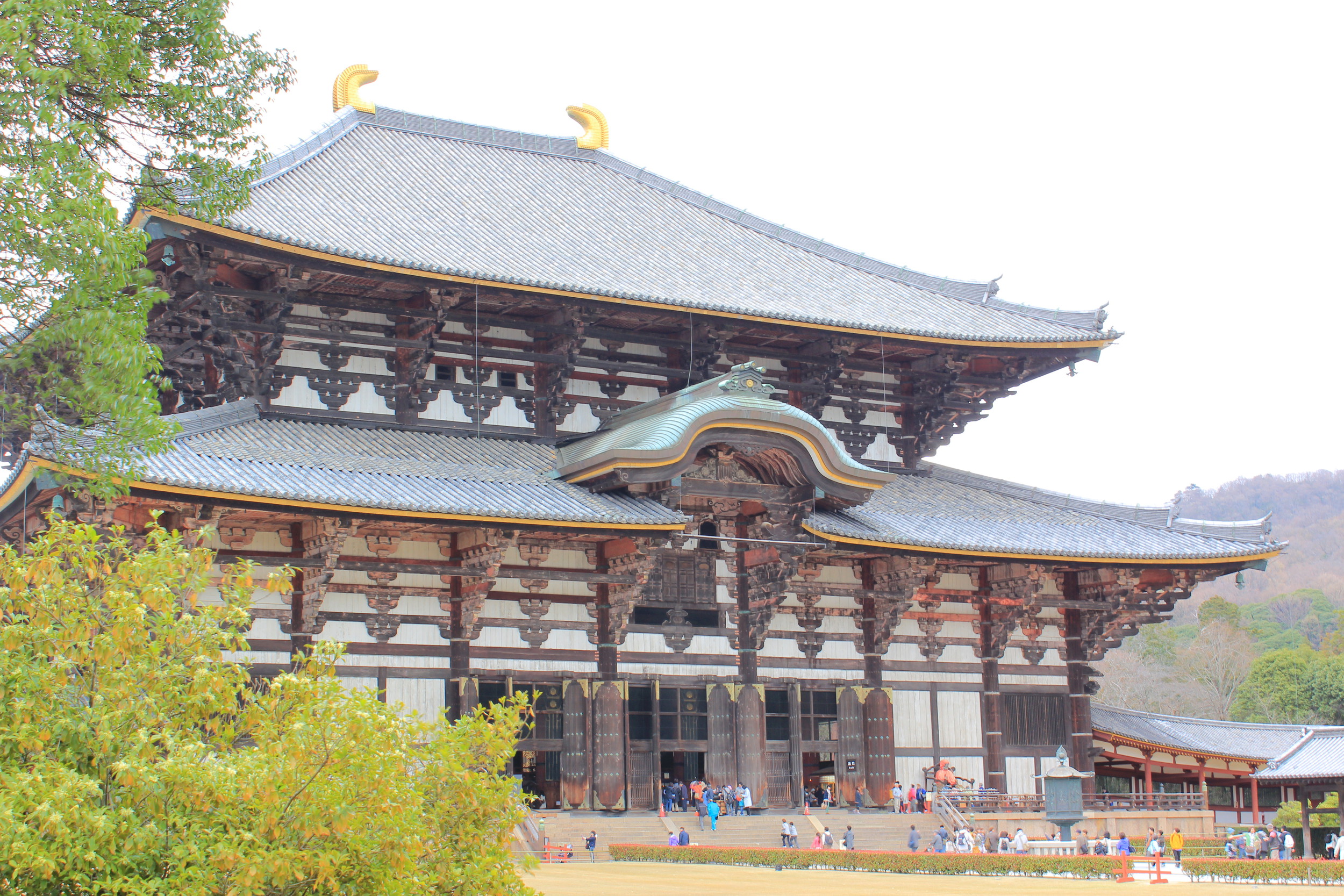 Todai-ji temple.