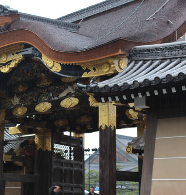 A close up of the blossoms.