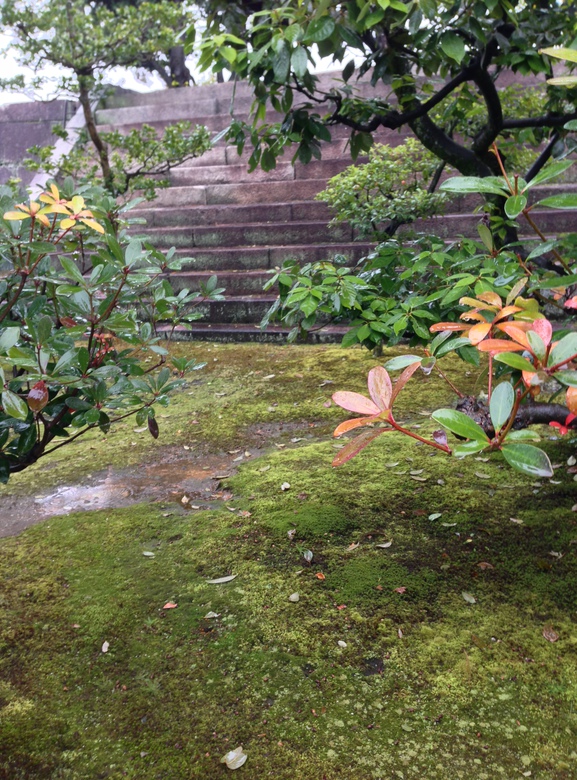 These stairs were extremely steep, but regardless of age people were climbing up in the rain.