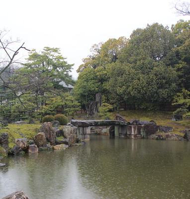 Rain coming down on the garden.