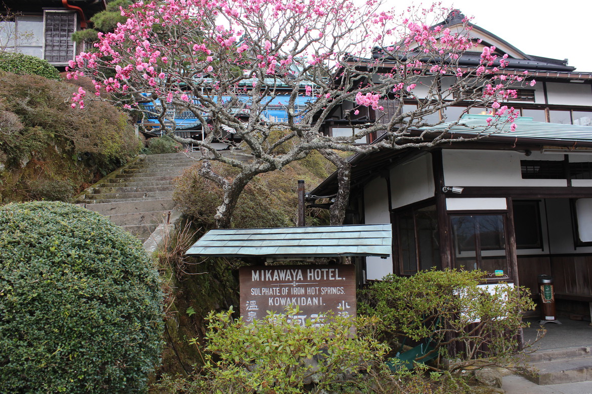 The entrance to Mikawaya Ryokan.