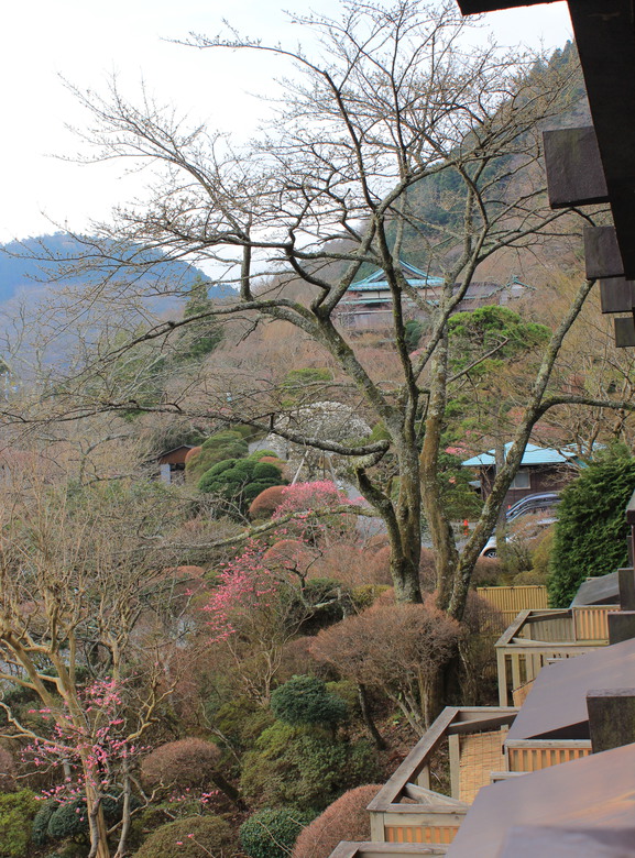 The main view from the room.