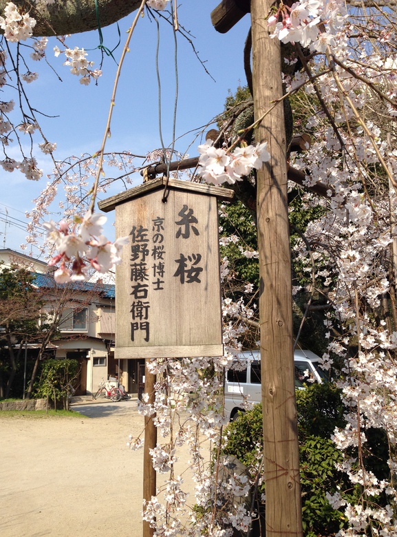 I wonder what this says.