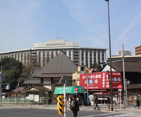 A view of the hotel from the side.