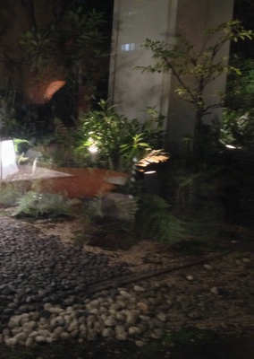 View from my seat on the roof of the building.