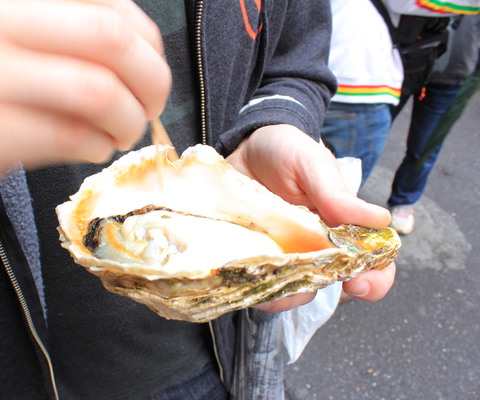 Largest oyster I've ever seen.