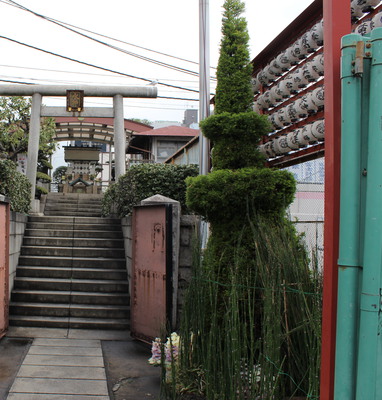 Shine nestled in the fish market.