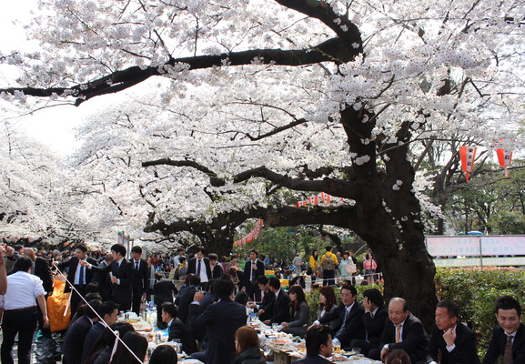 Business men and women out for lunch.