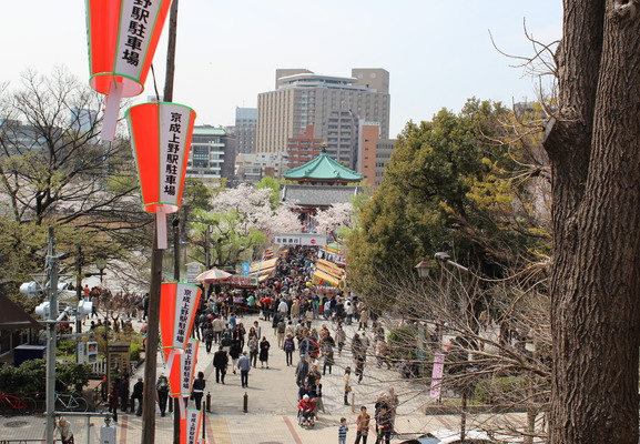 View of the shrine and stands