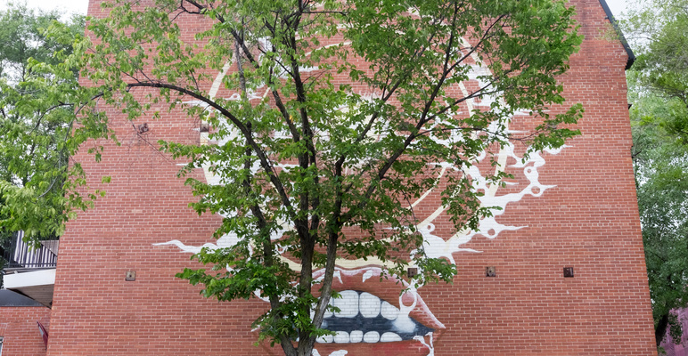 Montreal--city_streets-s016-r3