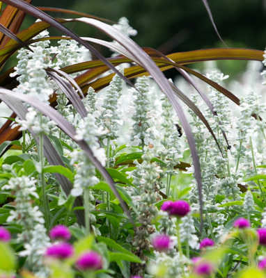 Montreal--gardens-s033-r3