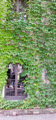 Montreal--gardens-s072-r2