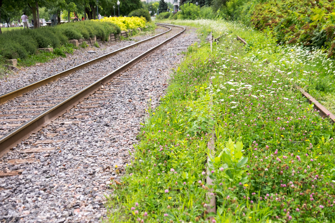 Montreal--gardens-s075-r4