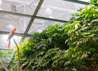 Montreal--inside-s091-r1