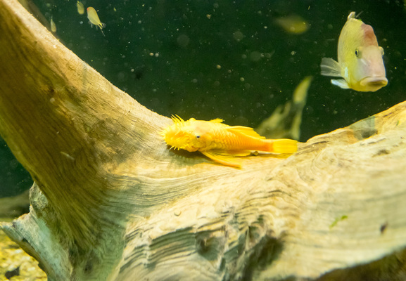 Montreal--inside-s093-r2