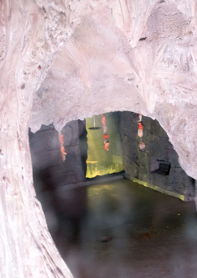 Montreal--inside-s094-r2