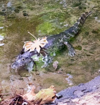 Montreal--inside-s095-r3