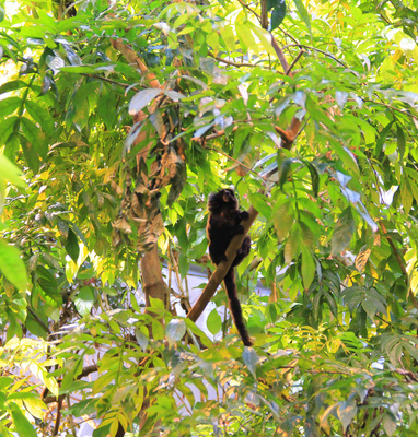 Montreal--inside-s112-r2