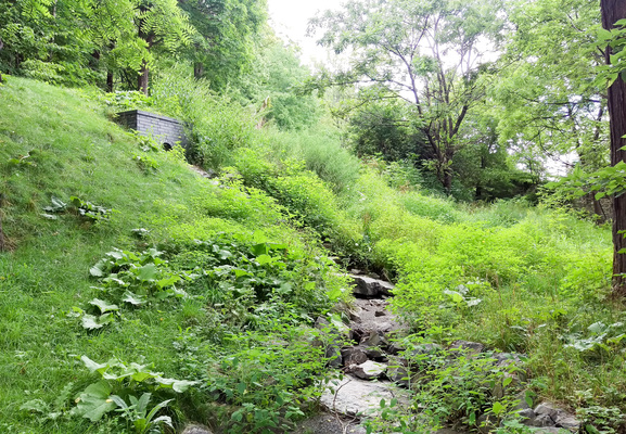 Montreal--trip_up-s027-r3