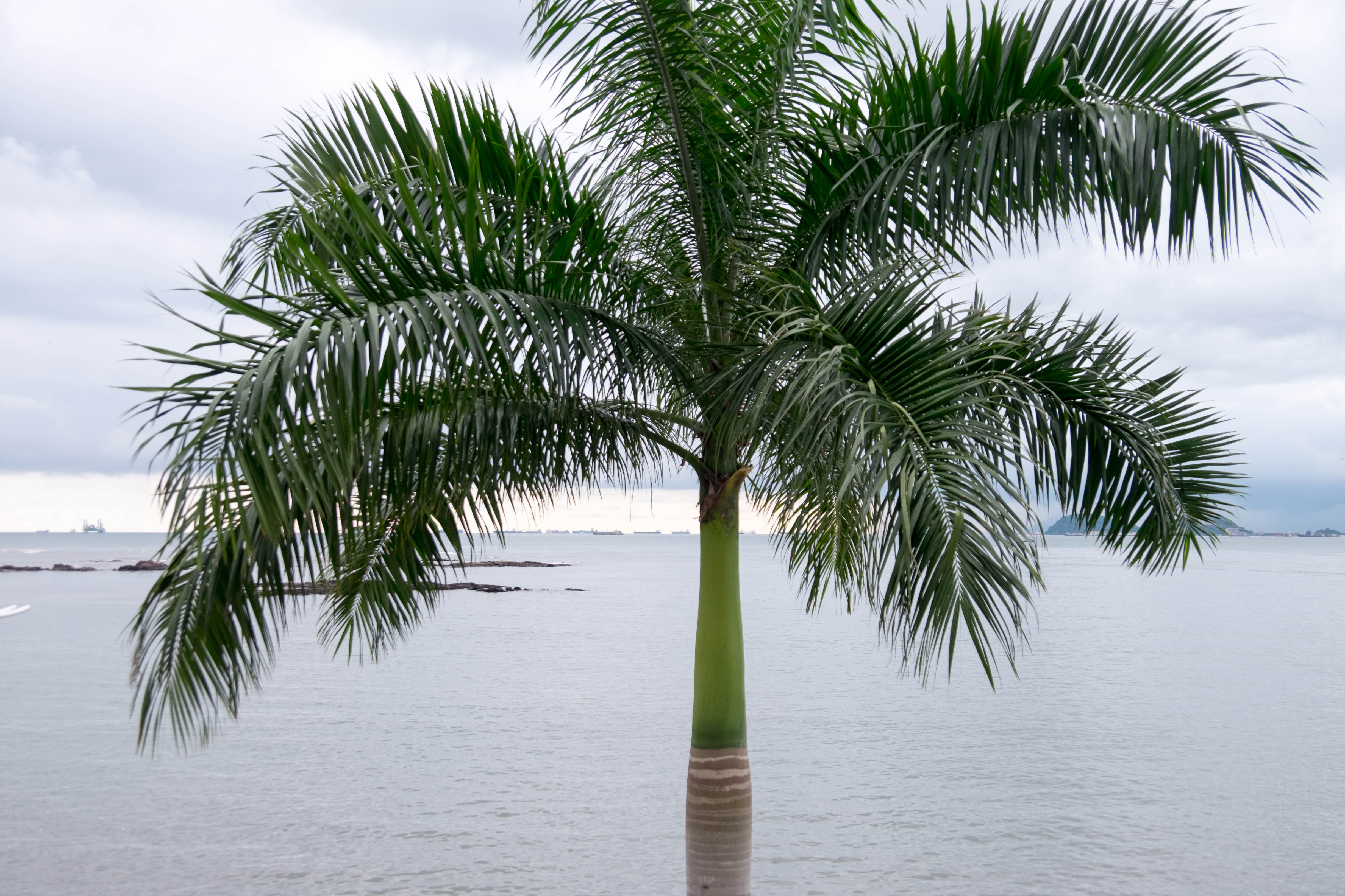 Panama