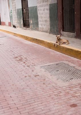 Panama--streets-s037-r2