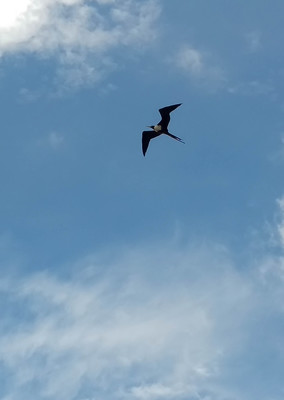 Panama--views-s023-r1