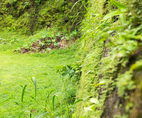 Panama--downstairs-s090-r4