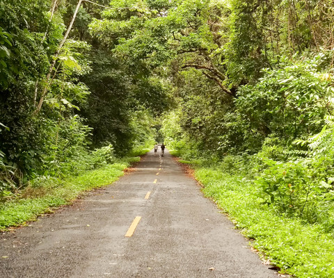 Panama--san_lorenzo_walk-s051-r2