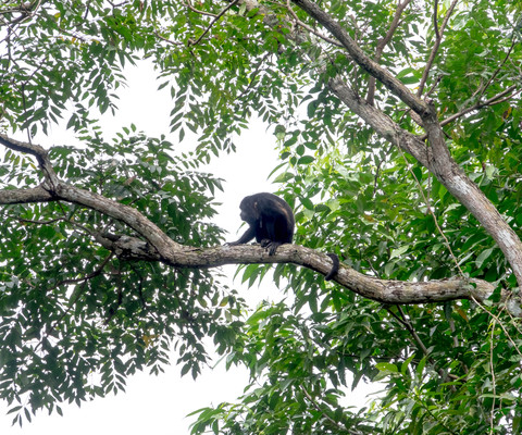 Panama--san_lorenzo_walk-s057-r2