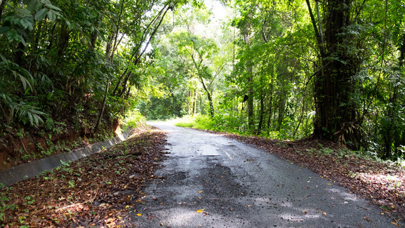 Panama--san_lorenzo_walk-s064-r4