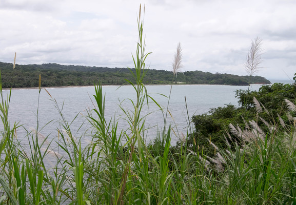 Panama--views-s099-r3