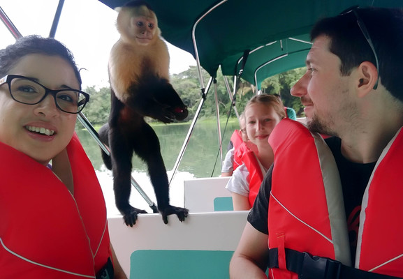 Panama--white-headed_capuchin-s023-r3