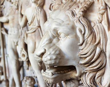 Lion Head (by Marilyn)